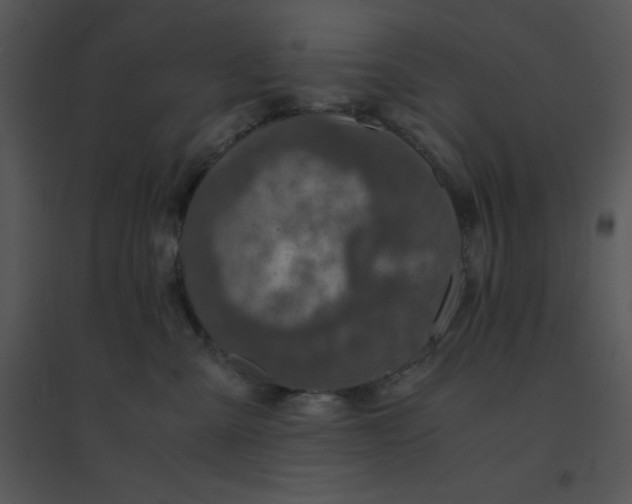 X0000095540427200801041313