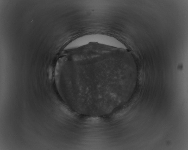 X0000095540428200801041313