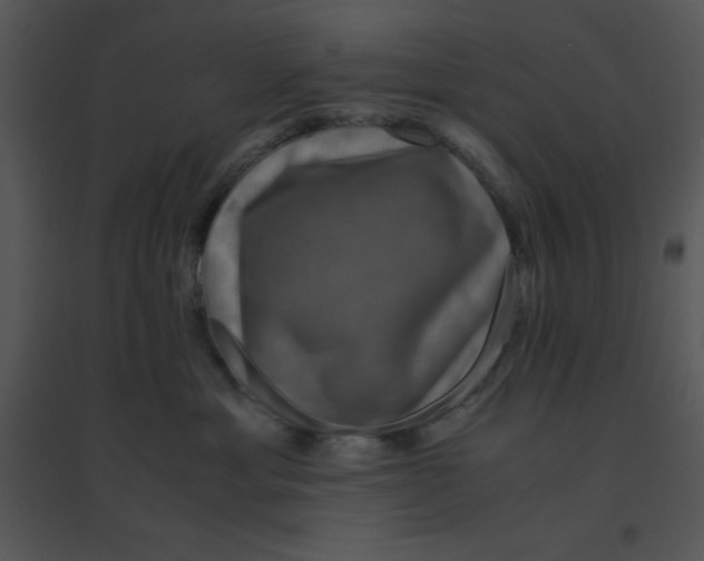 X0000095540429200801041313