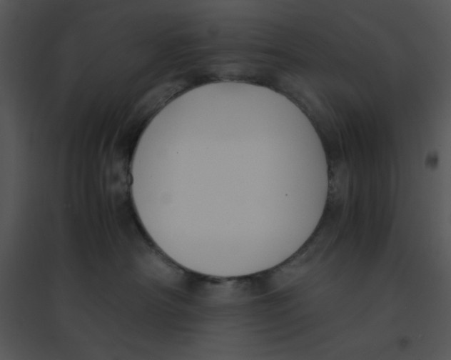 X0000095540430200801041313