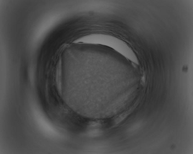 X0000095540431200801041313