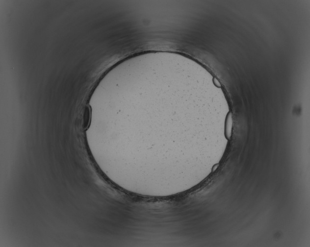 X0000095540433200801041312