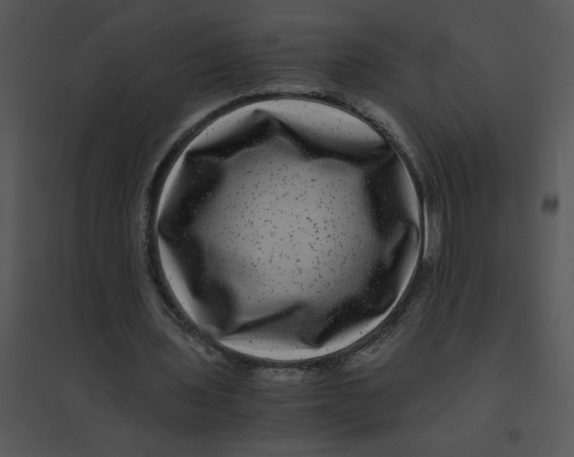 X0000095540435200801041312