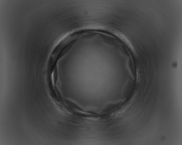 X0000095540436200801041312