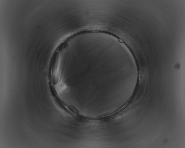 X0000095540438200801041312