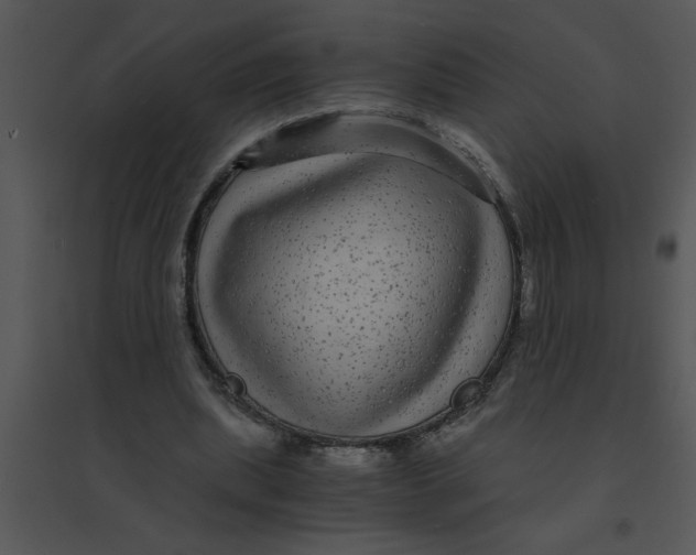 X0000095540439200801041312