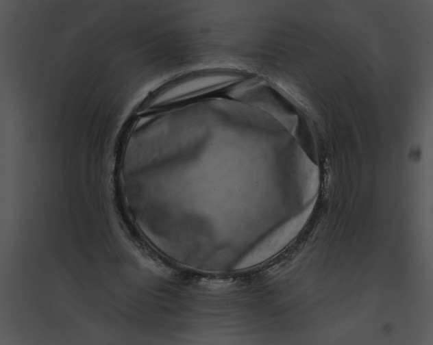 X0000095540440200801041312