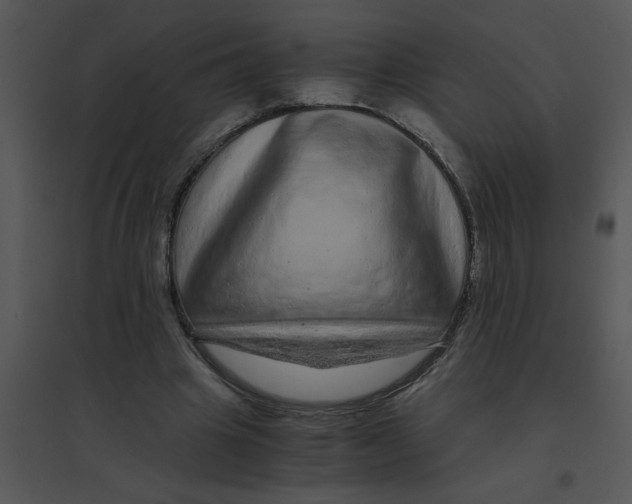 X0000095540441200801041312