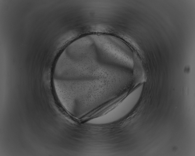 X0000095540442200801041312