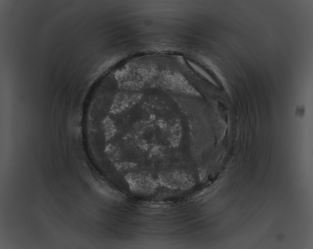 X0000095540443200801041312