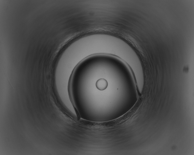 X0000095540444200801041312