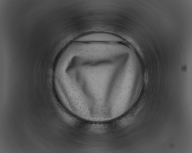 X0000095540445200801041313