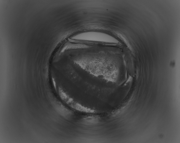 X0000095540447200801041313