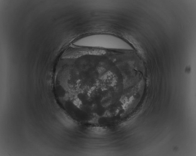 X0000095540449200801041313