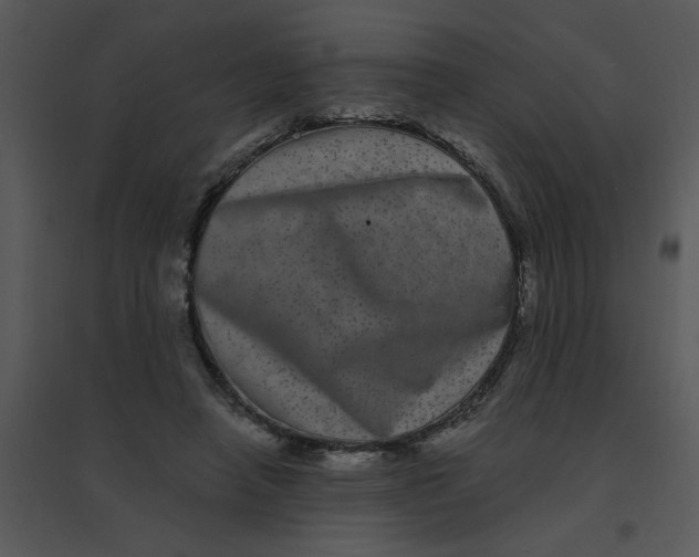 X0000095540450200801041313