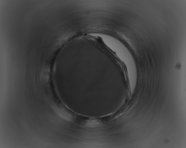 X0000095540451200801041313