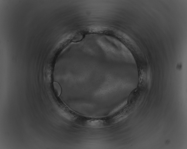 X0000095540452200801041313