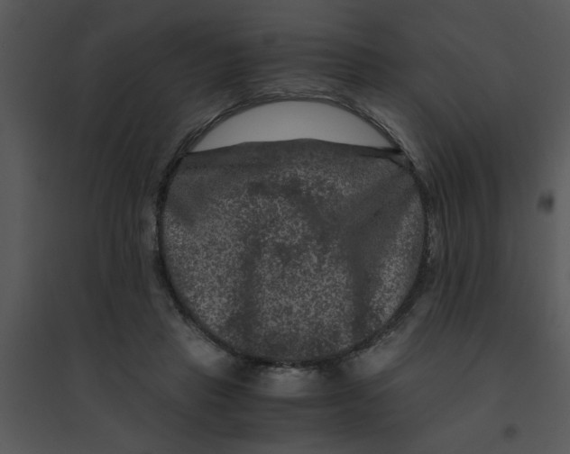 X0000095540453200801041313