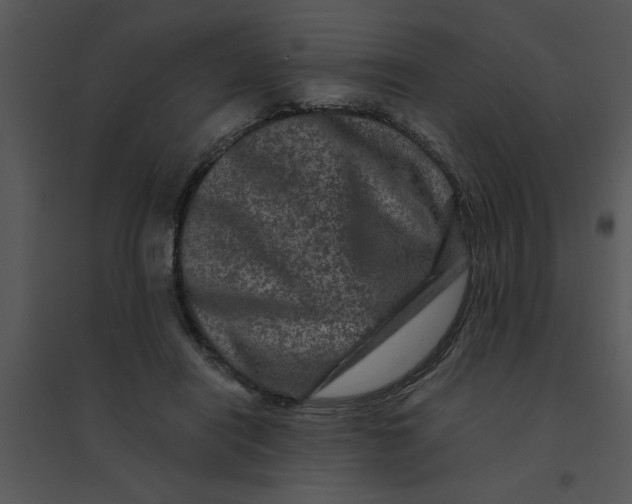 X0000095540454200801041313