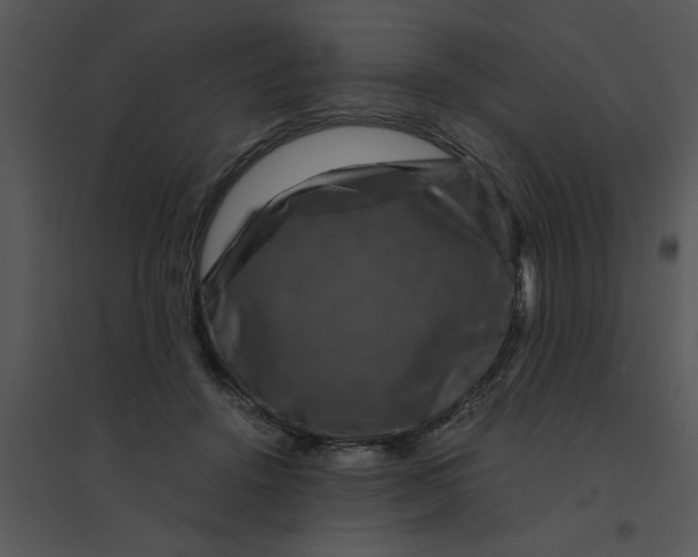 X0000095540456200801041313