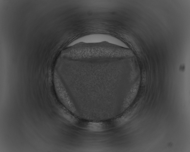 X0000095540457200801041313