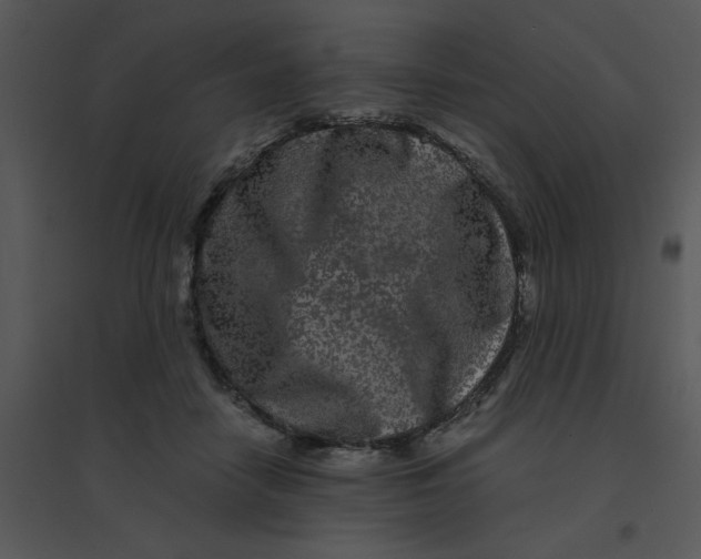 X0000095540458200801041313