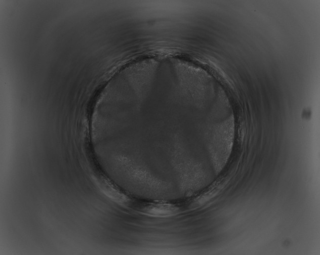 X0000095540459200801041313