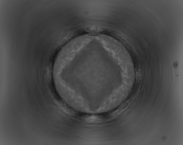 X0000095540460200801041313