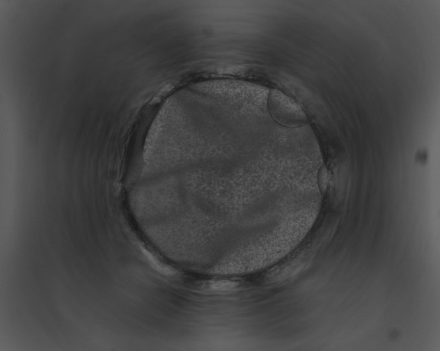 X0000095540462200801041313