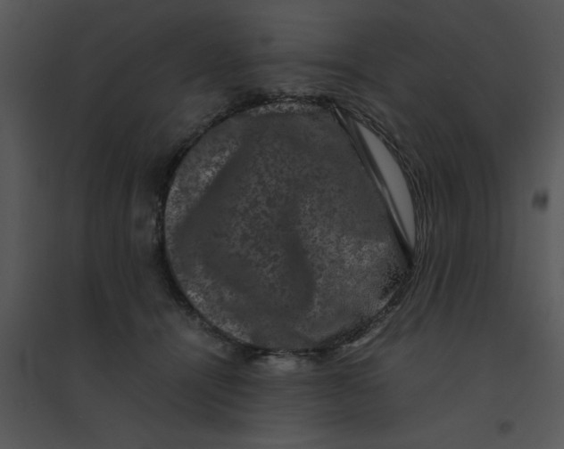 X0000095540464200801041313