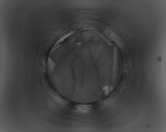 X0000095540465200801041313