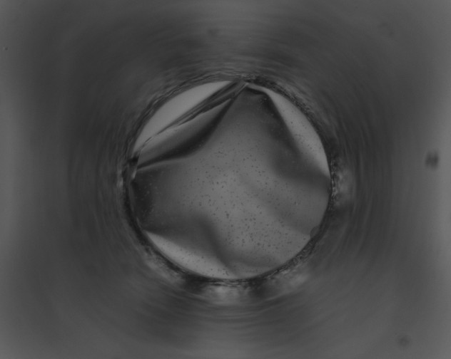 X0000095540466200801041313