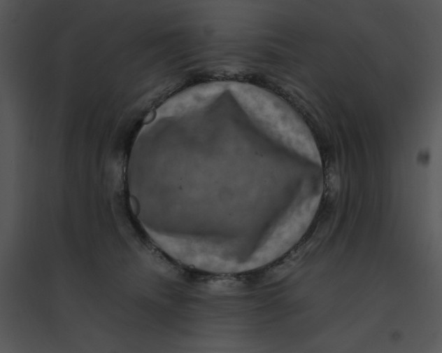 X0000095540468200801041313