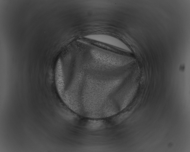 X0000095540469200801041313