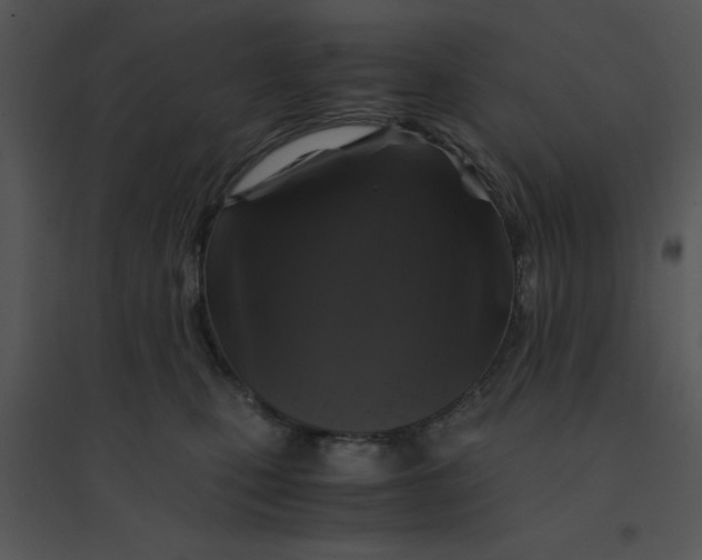 X0000095540471200801041313