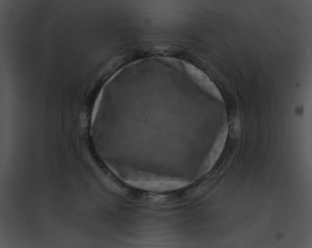 X0000095540472200801041313