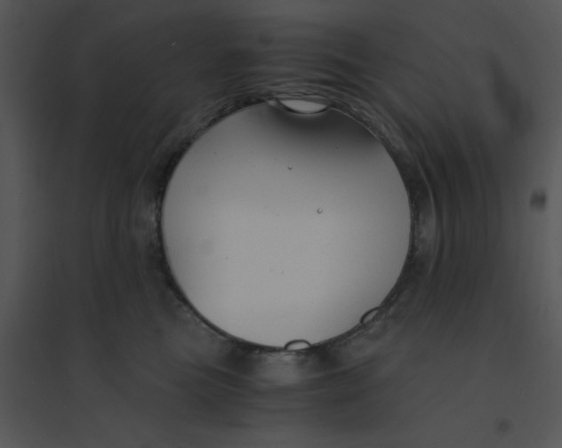 X0000095540473200801041313