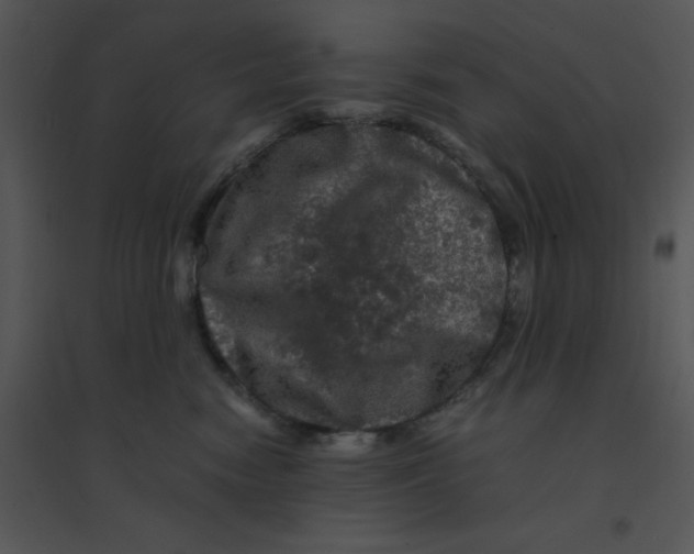 X0000095540474200801041313