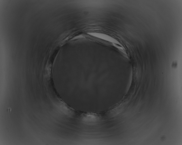 X0000095540475200801041313