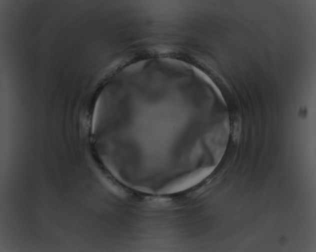 X0000095540476200801041313