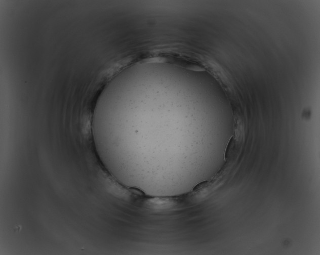 X0000095540477200801041313