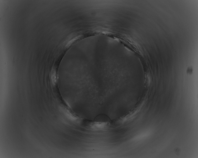 X0000095540479200801041313