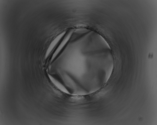 X0000095540480200801041313