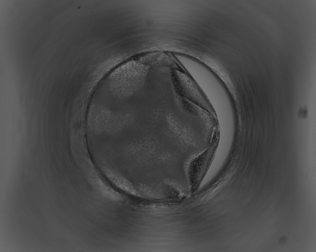 X0000095540481200801041312