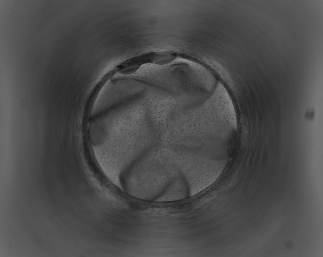 X0000095540482200801041312