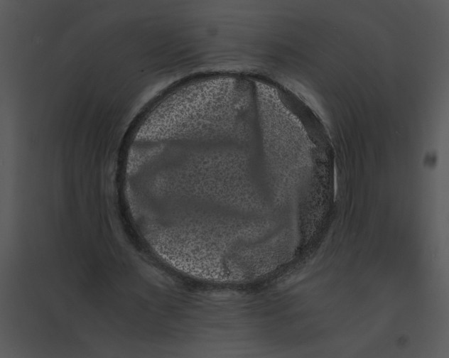 X0000095540483200801041312