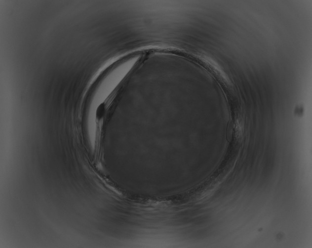 X0000095540484200801041312