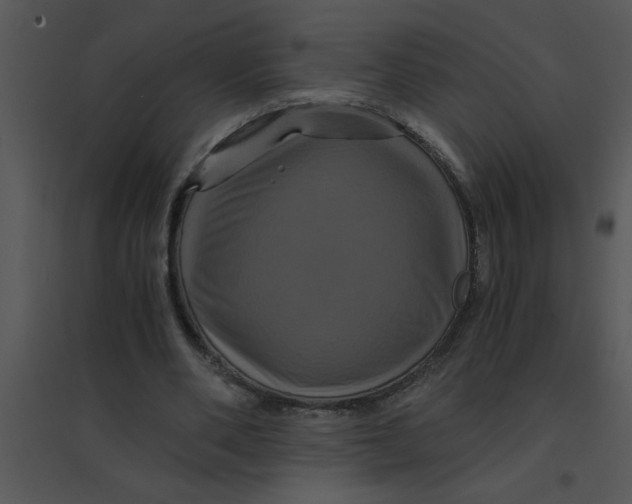 X0000095540486200801041312