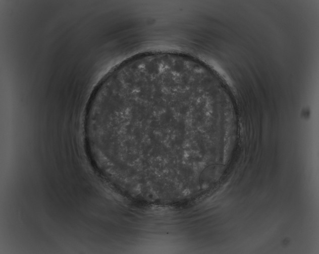 X0000095540487200801041312