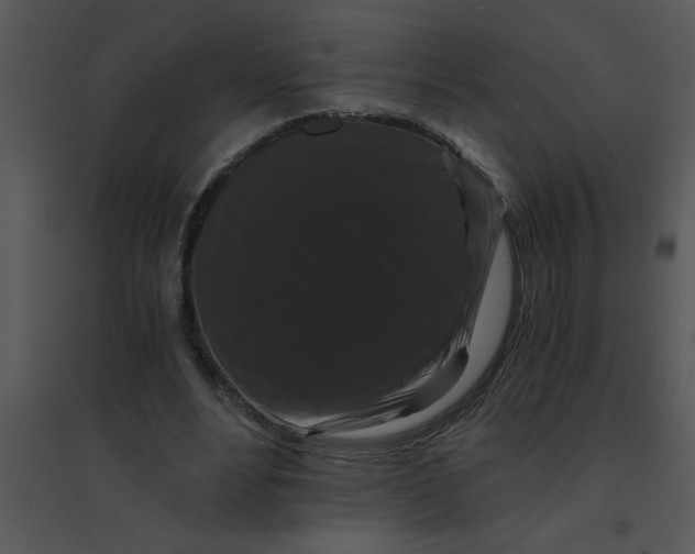 X0000095540488200801041312